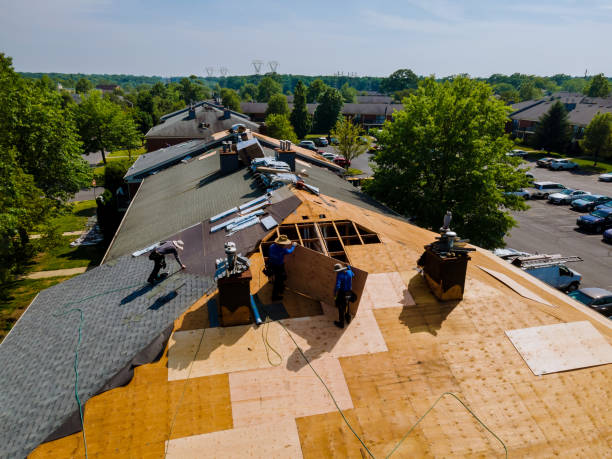 Roof Gutter Cleaning in Mayflower, AR