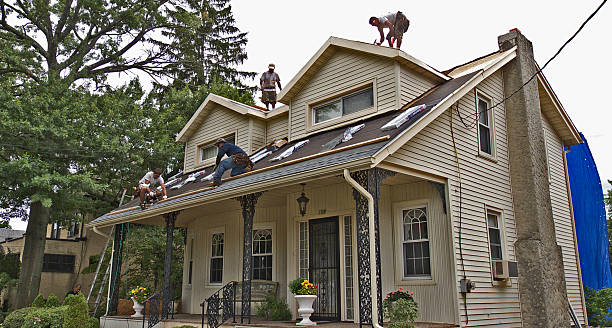 Best Metal Roofing Contractor  in Mayflower, AR