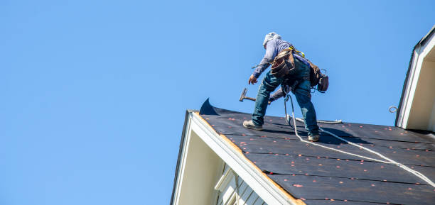 Best Storm Damage Roof Repair  in Mayflower, AR